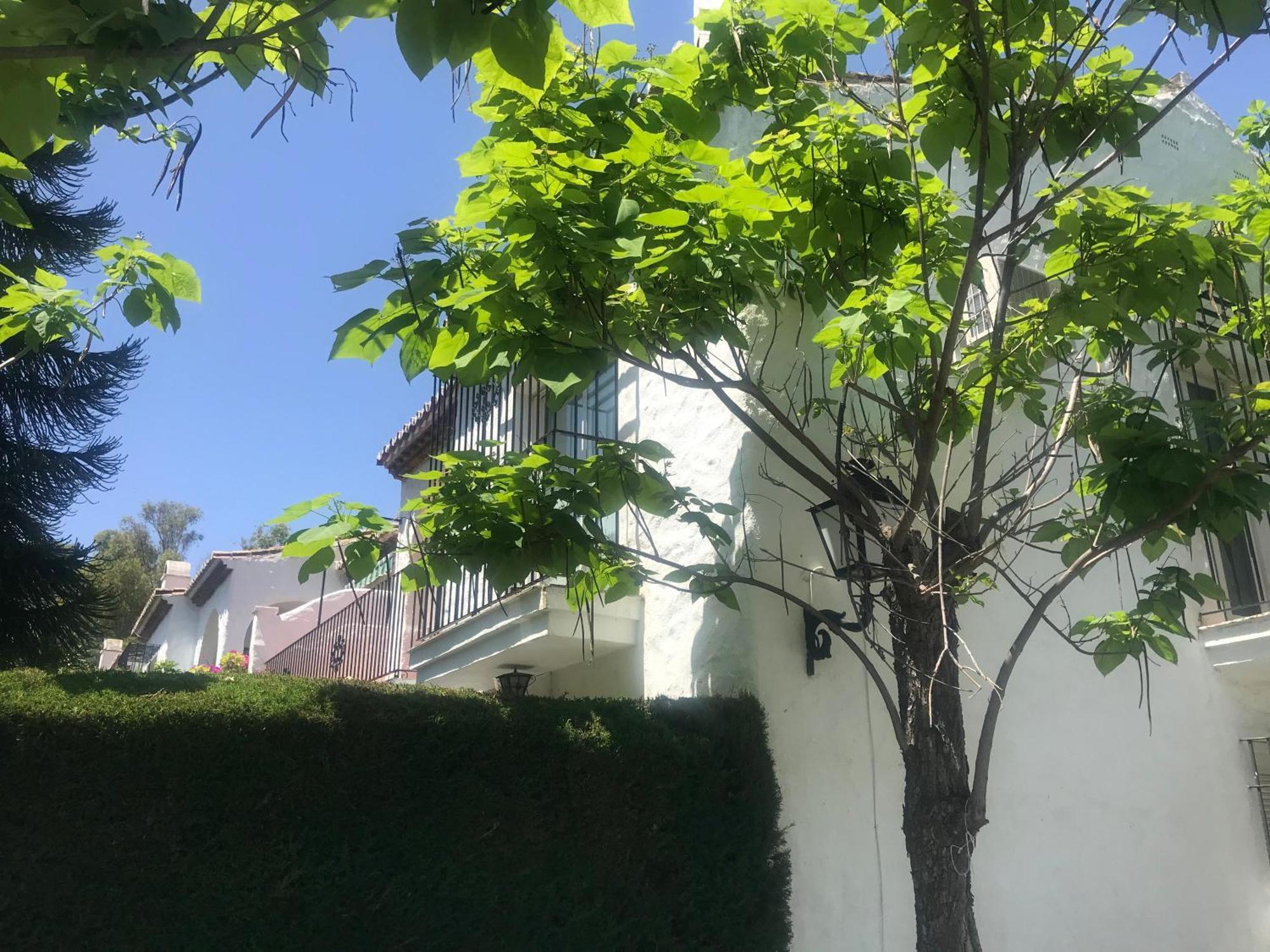 Tarifa Especial, Sin Aglomeraciones En Piscina Y Playa, Cerca De Puerto Banus エステポナ エクステリア 写真